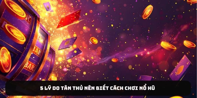 5 lý do tân thủ nên biết cách chơi nổ hũ