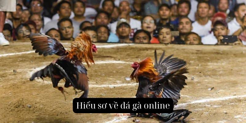 Hiểu sơ về đá gà online